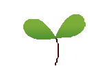 Generic placeholder