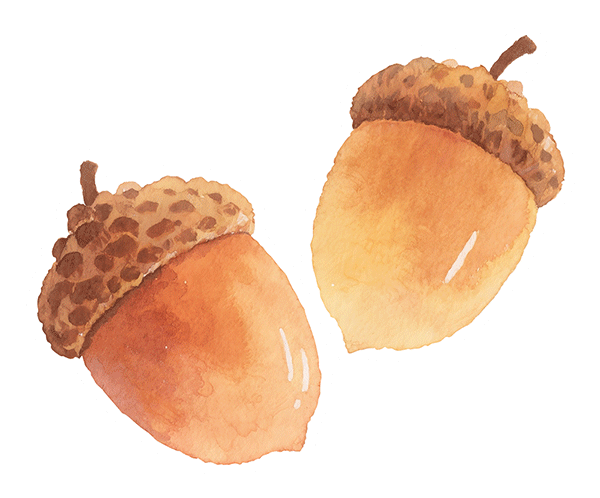 Generic placeholder